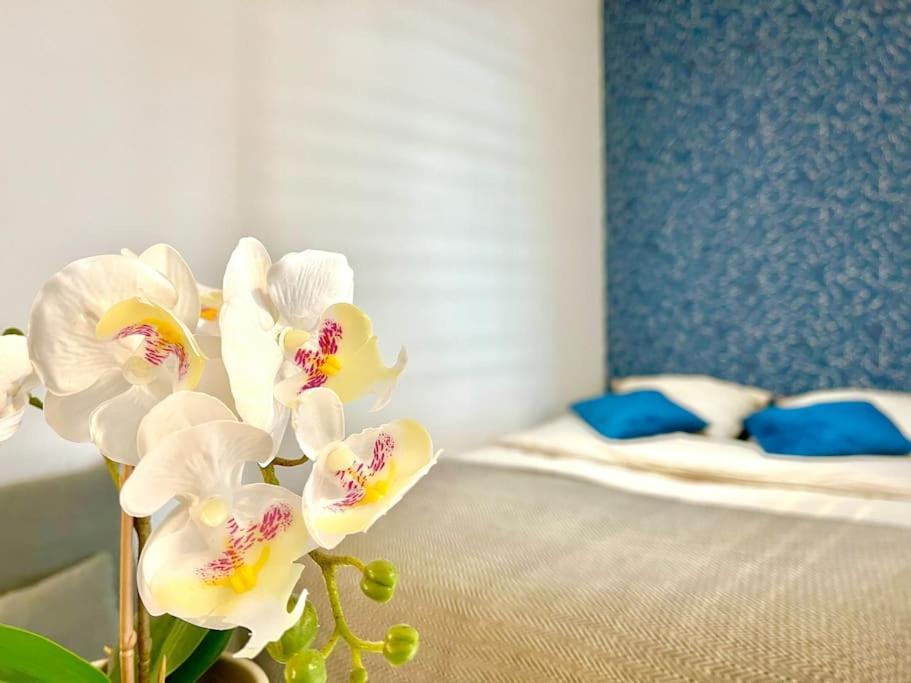 Splendide Cocon Sauna & Balneo Reims Dış mekan fotoğraf